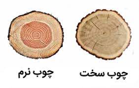 دو نوع چوب سخت و نرم